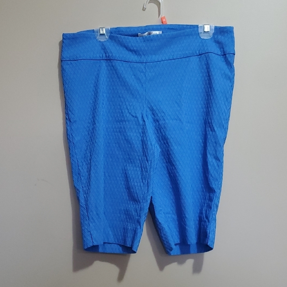 S.C.& Co Blue Women's Bike Shorts Size 16